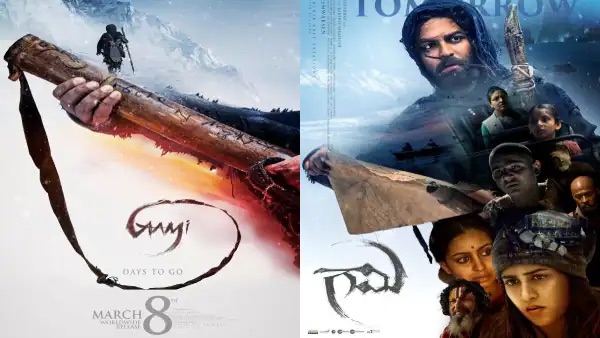 Gaami Movie Box Office Collection