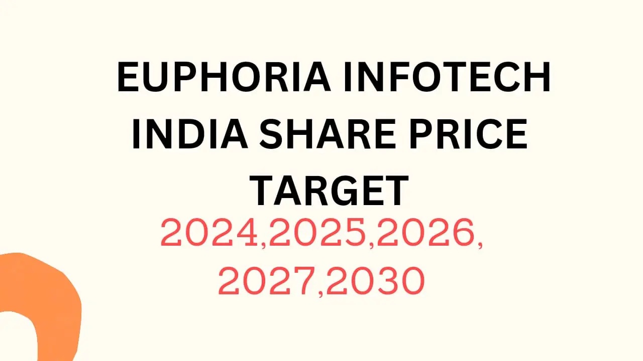 Euphoria Infotech India Share Price Target