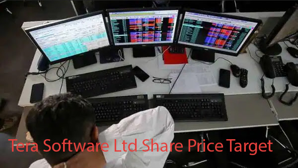 Tera Software Ltd Share Price Target