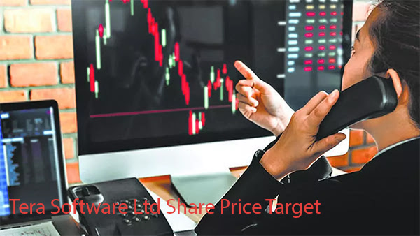 Tera Software Ltd Share Price Target