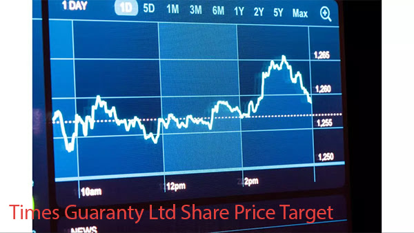 Times Guaranty Ltd Share Price Target