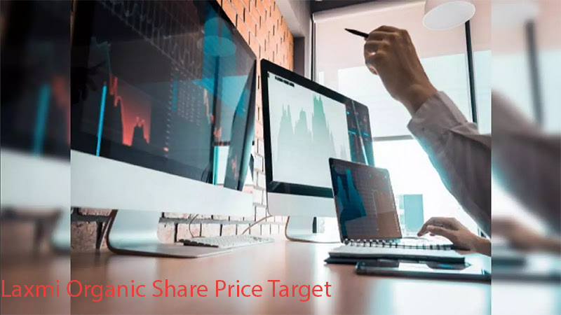 Laxmi Organic Share Price Target