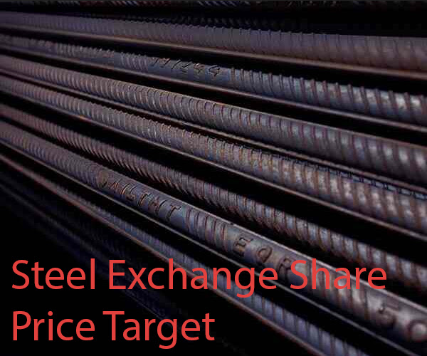 Steel Exchange Share Price Target