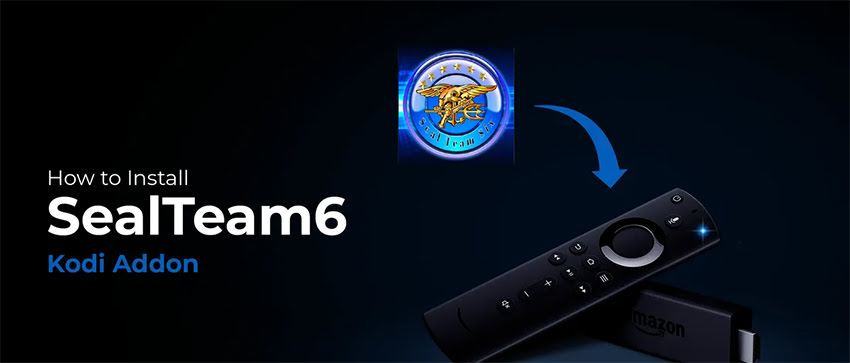 Install SealTeam6 Kodi Addon on FireStick