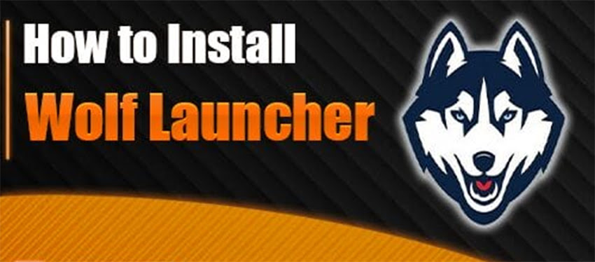 Install & Set Up Wolf Launcher on FireStick